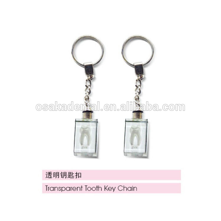 Beautiful Teeth ShapeKey Chain for Decoration