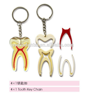 key chain/dental accessories/dental cultural products/oral dental accessories