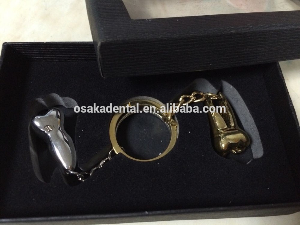 molar tooth key chain/dental accessories/dental cultural products/oral dental accessories