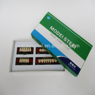 A Dental PVC-steel Teeth compatible with Japan MODEI