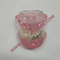 Dental Teeth mold for teaching / dental handpiece / dental unit / dental chair