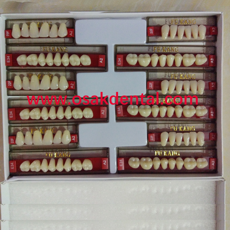 European Quality Three Layer Dental False Teeth/Dental Synthetic Teeth/Dental acrylic resin teeth