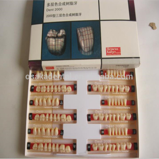 A Dental Heraeus 2000 Three layer colors Composite Resin Teeth