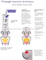 Denture Injection System dental lab equipment with CE