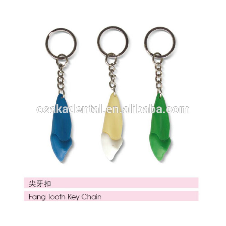 Beautiful Teeth ShapeKey Chain for Decoration