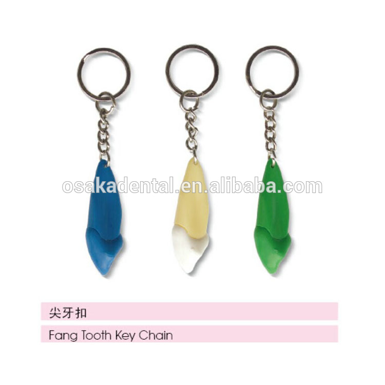 Beautiful Teeth ShapeKey Chain for Decoration