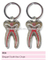 elegant tooth key chain/dental accessories/dental cultural products/oral dental accessories