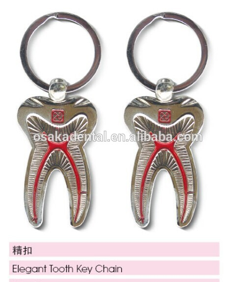 elegant tooth key chain/dental accessories/dental cultural products/oral dental accessories