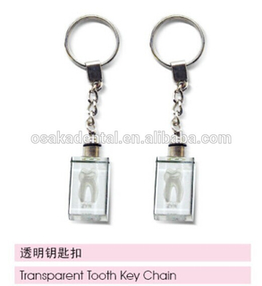 transparent tooth key chain/dental accessories/dental cultural products/oral dental accessories