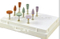 Dental polish Bur/teeth polishing kit/dental diamond bur