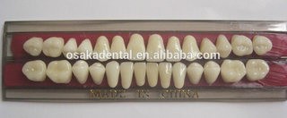 CE,ISO Dental ceramic False Teeth with good quality