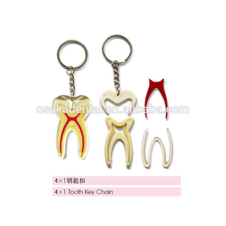 Beautiful Teeth ShapeKey Chain for Decoration