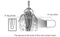High Accuracy OSAKA Dental Apex Locator for root apex