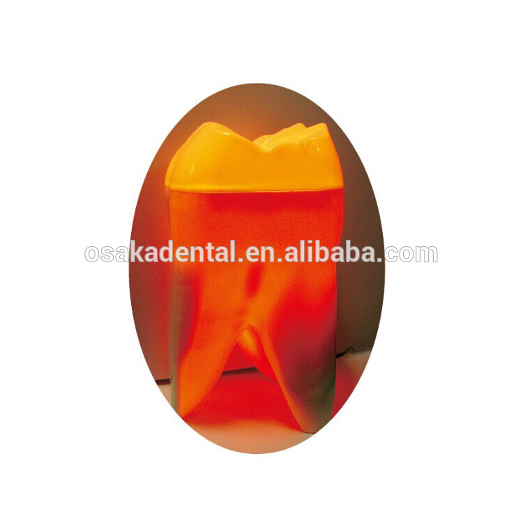 Teeth Shape Light for Decoration