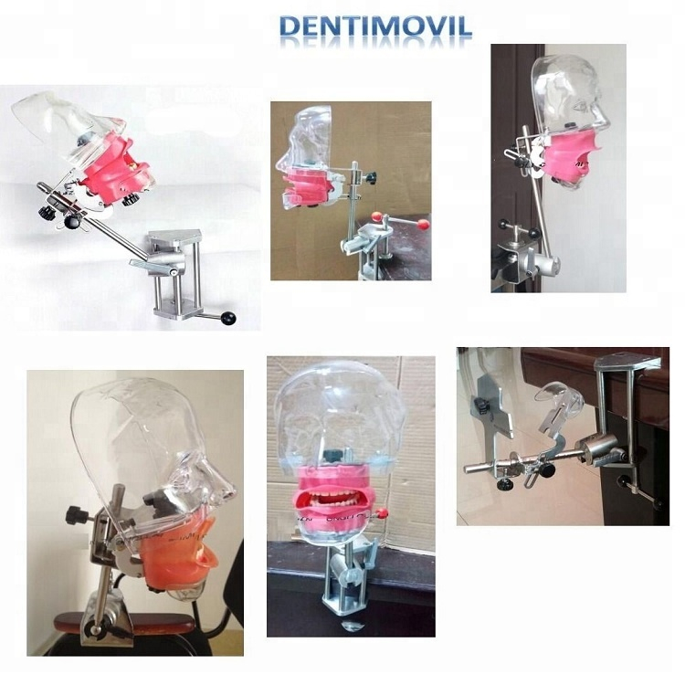 Dental Phantom head momodel/Lab equipment compatible with Nissin