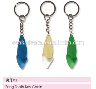 Key chains/dental accessories/dental cultural products/oral dental accessories