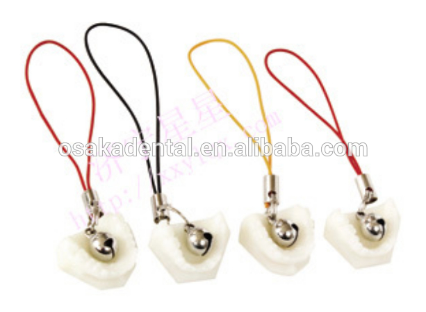 Exquisite denture mobile phone chain/dental decoration/dental gifts/dental cultural products