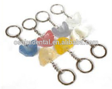 Denture key chain/dental decoration/dental gifts/dental cultural products