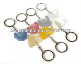 Denture key chain/dental decoration/dental gifts/dental cultural products
