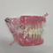 Dental Teeth mold for teaching / dental handpiece / dental unit / dental chair