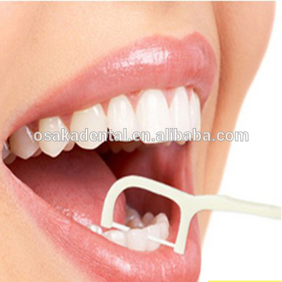 dental floss pick