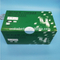 Dental Material Dental Capsules for Filling Teeth