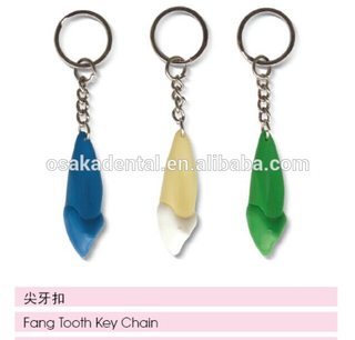 Fang tooth chains/dental accessories/dental cultural products/oral dental accessories