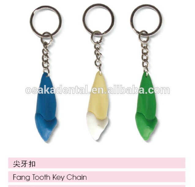 Fang tooth chains/dental accessories/dental cultural products/oral dental accessories