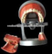 OSAKA DENTAL Teaching Model of Phantam USA