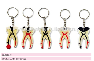 Plastic tooth key chain /dental accessories/dental cultural products/oral dental accessories