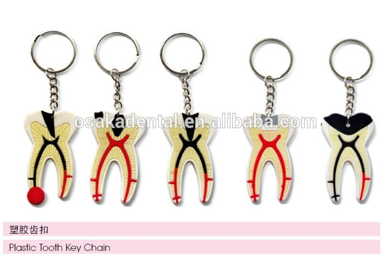 Plastic tooth key chain /dental accessories/dental cultural products/oral dental accessories