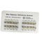 Cheap Bondable Edgwise Roth MBTMetal Bracket for Orthodontic Use OSA-P31