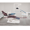 OSA-F208A Dental Unit Chair with Lower mouted,special LED lamp, Real Leather,