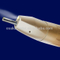 New Dental 6 hole Fiber optic straight handpiece with good quality