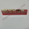 OSA-4011A Caries Teeth Shape of dental teaching model / dental model / dental handpiece / dental equipment