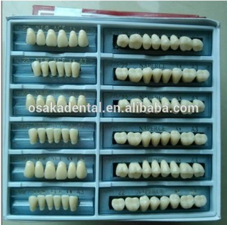 Most Cheapest Price Three Layer Dental False Teeth / Dental Synthetic Teeth / Dental acrylic resin teeth