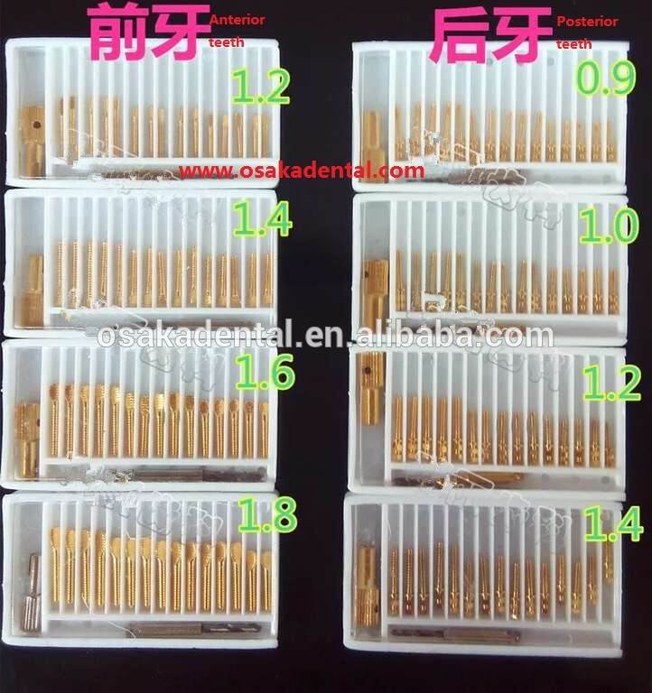 Dental Golden Plated Screw Post with Drills