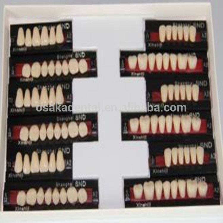 A European Quality Teeth Full Set Best Quality