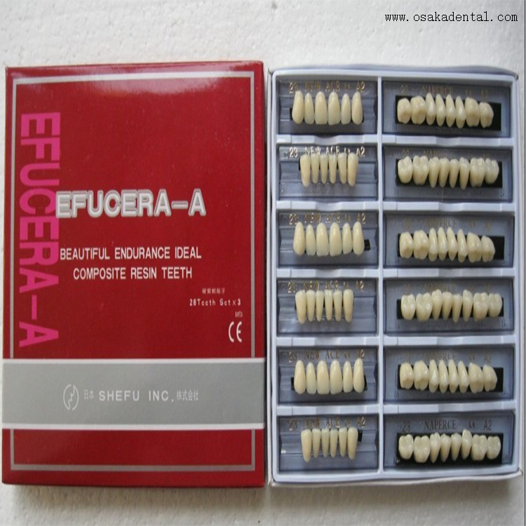 Dental Resin Teeth with 6 Full Set in One Box