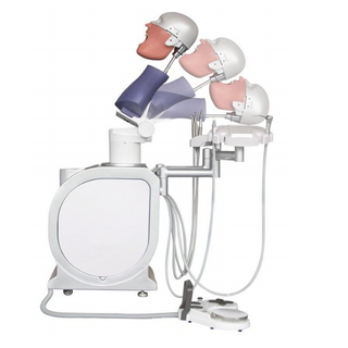 Dental Simulation Training And Practice System