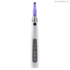Rechargable Prophy Handpiece with Tips