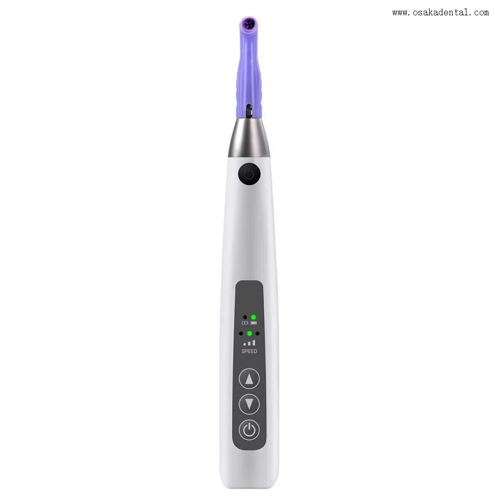 Rechargable Prophy Handpiece with Tips