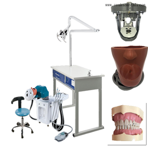 Dental electrical simulation for 1 student and four handed operation