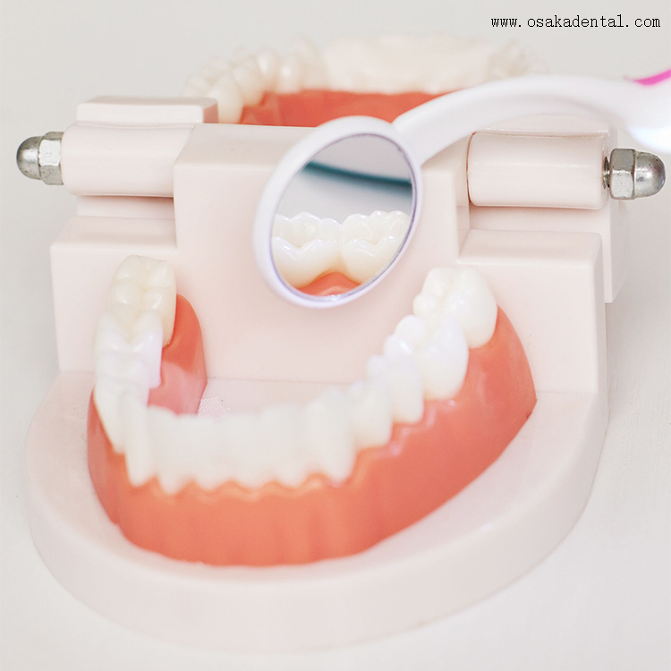 Dental Disposable Mirror with Light