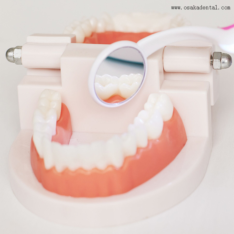 Dental Disposable Mirror with Light