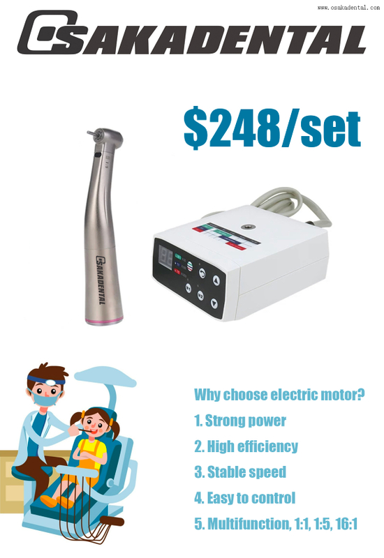 Dental economic burshless electric motor with red contra angle handpiece