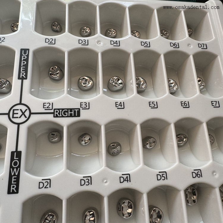 Dental Stainless Steel Kids Crown 48pcs/box