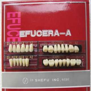 Dental Resin Teeth with 6 Full Set in One Box