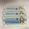 Dental Orthodontic Monoblock Or Bondable Metal Bracket 
