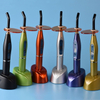 Top Sale Dental Curing Light Economic and Stable Quality